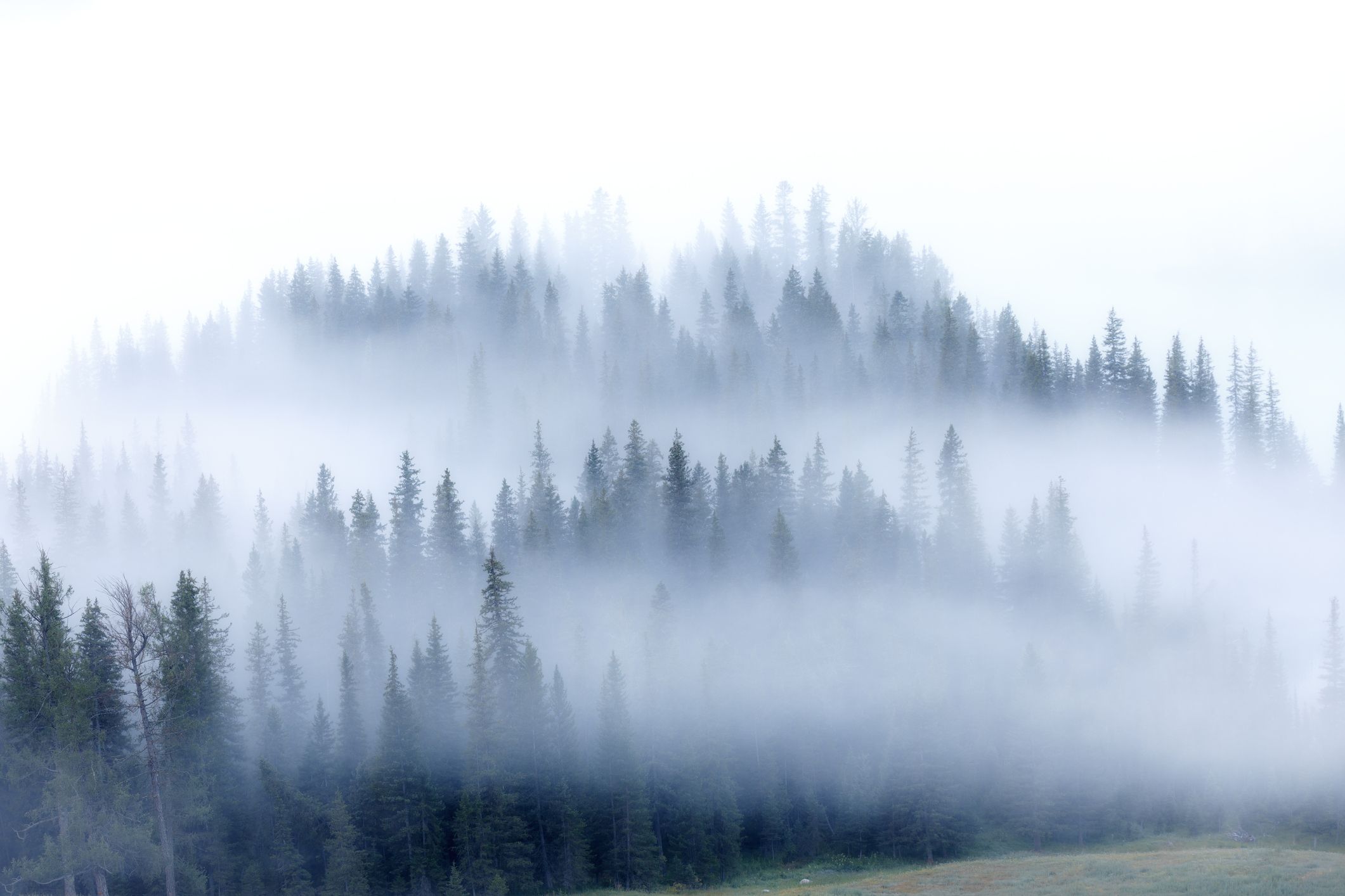 Image illustrant l'article de blog intitulé « Réduire le brouillard de la guerre en renforçant la préparation en matière de cybersécurité »