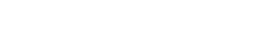 Net One Systems