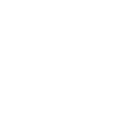 EY logo blanc sans rembourrage
