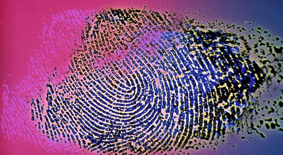 Image d’une empreinte digitale dans des nuances vives de rose, magenta, lavande et noir.