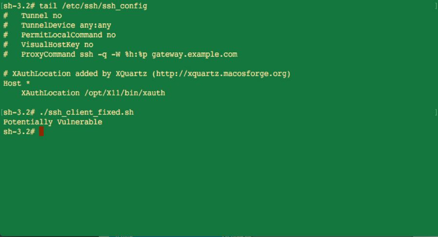 Sortie du terminal montrant l’examen de la configuration SSH et les résultats de détection des vulnérabilités