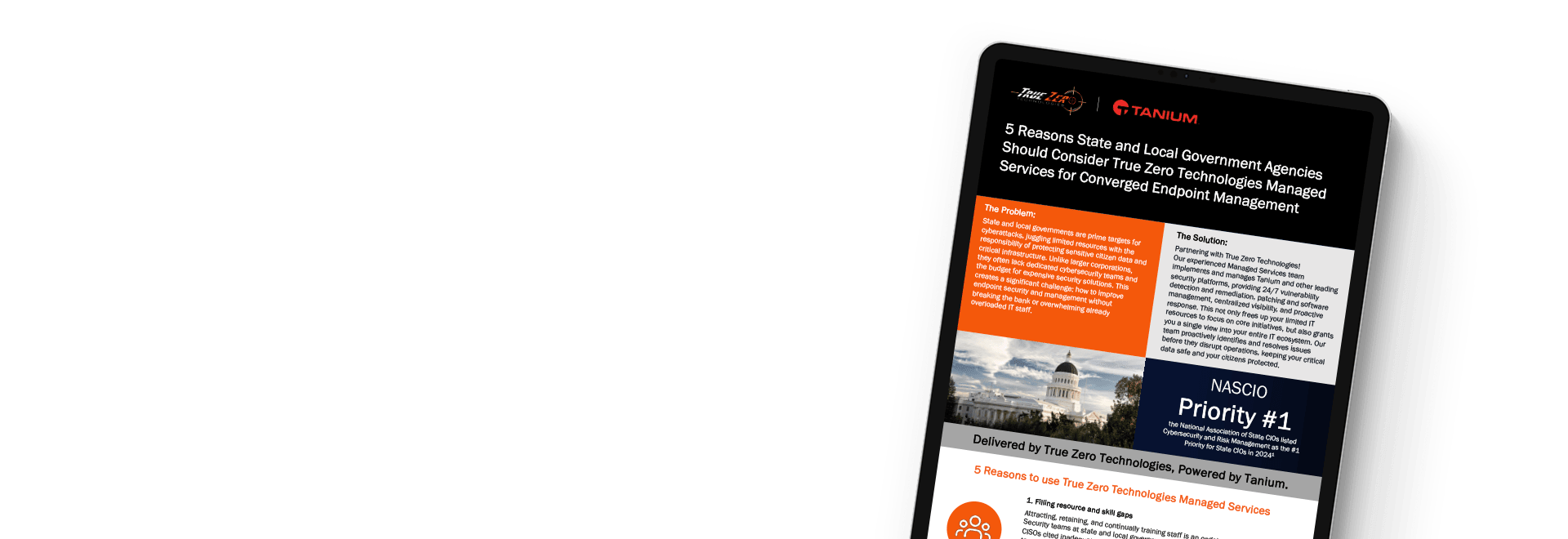 Services gérés True Zero Technologies pour les gouvernements étatiques et locaux