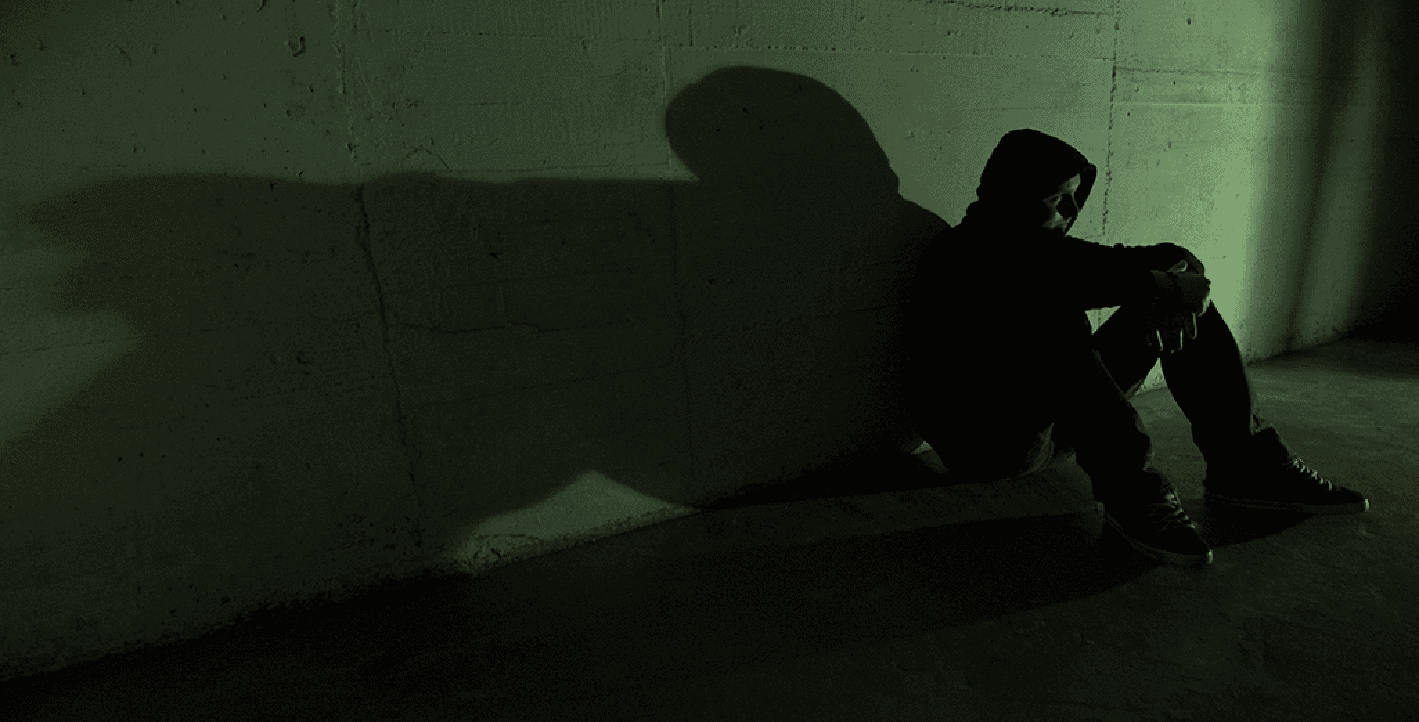 Dans l'esprit d'un adolescent hacker insaisissable
