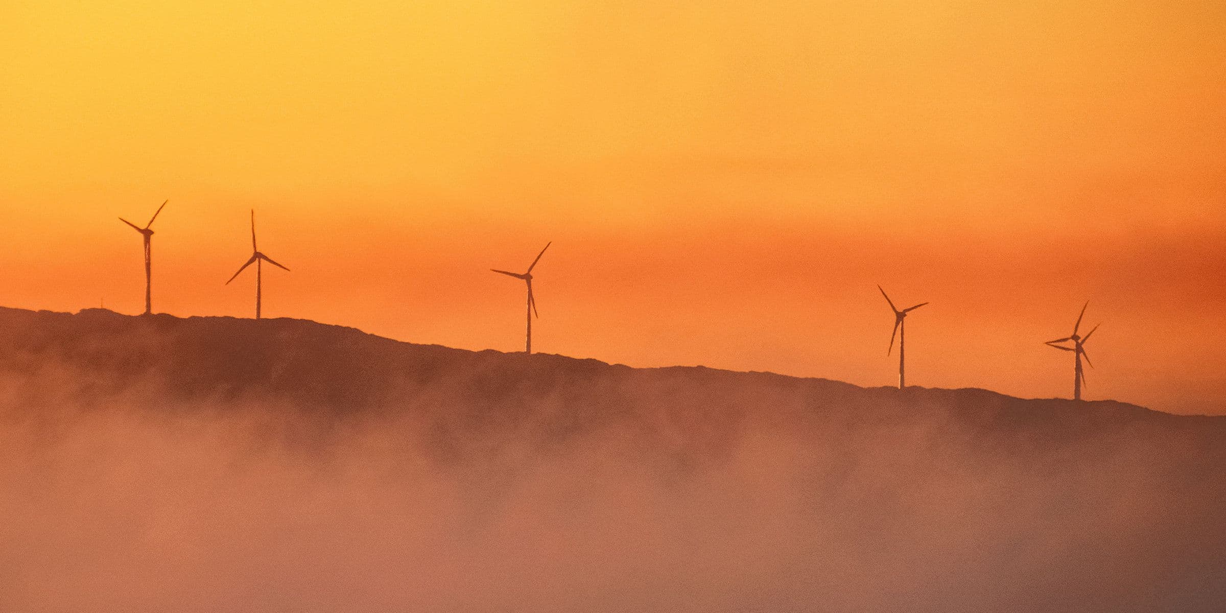 Cybersécurité et changement climatique : les défis majeurs auxquels font face les DSI du secteur de l'énergie