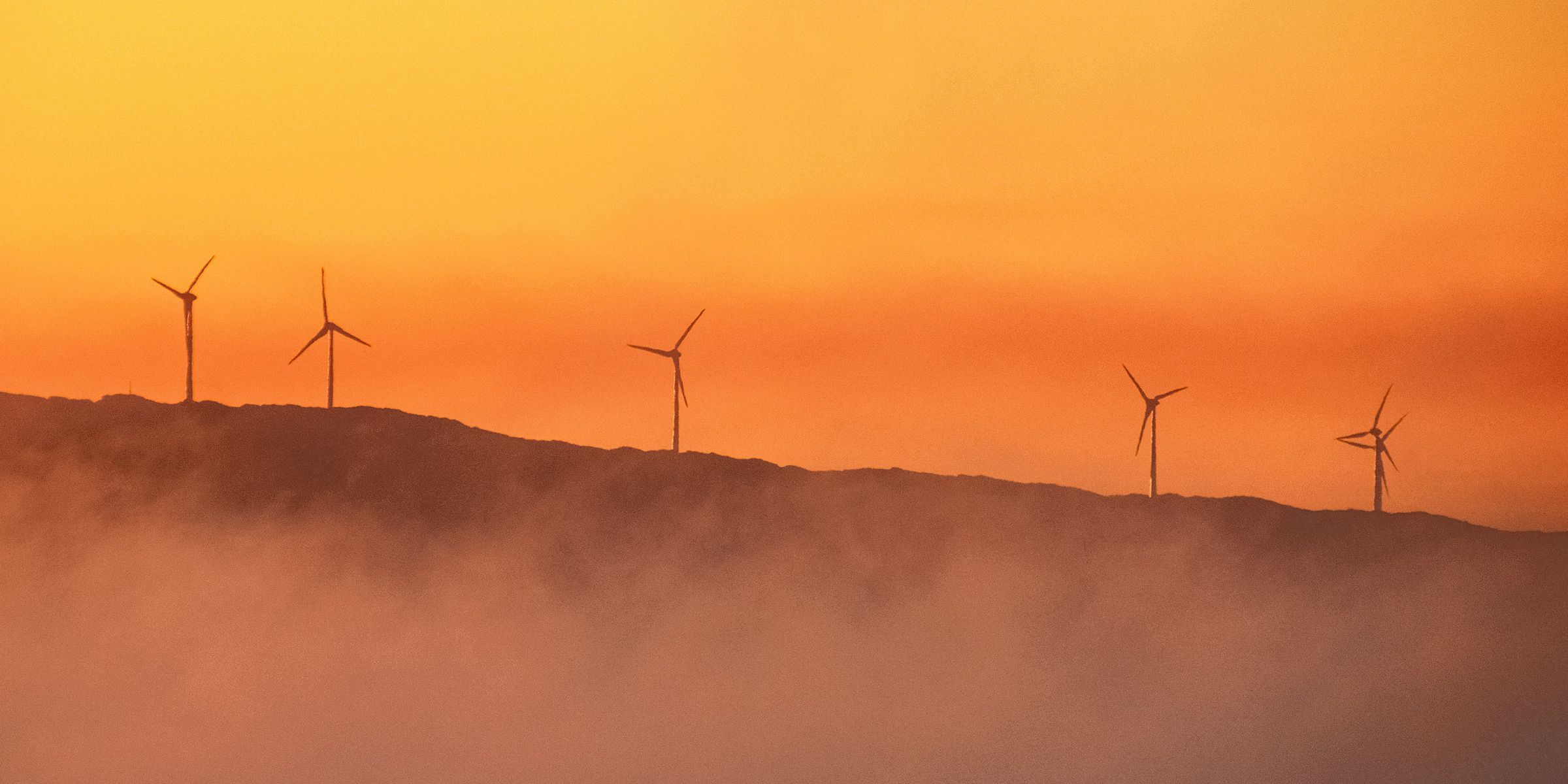 Cybersécurité et changement climatique : les défis majeurs auxquels font face les DSI du secteur de l'énergie
