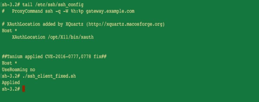 Sortie du terminal montrant la remédiation réussie de la vulnérabilité OpenSSH avec confirmation de vérification
