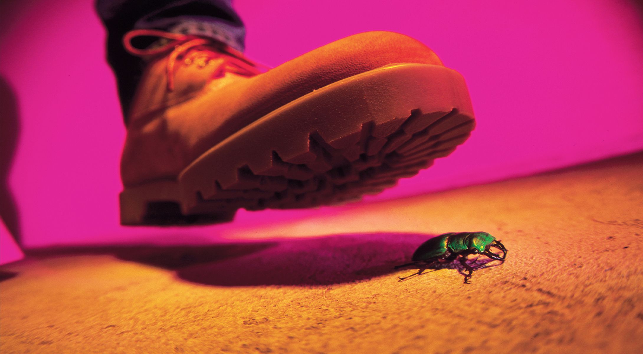 Guide de survie aux bugs 2038 : les leçons tirées des problèmes de code liés à l'année bissextile